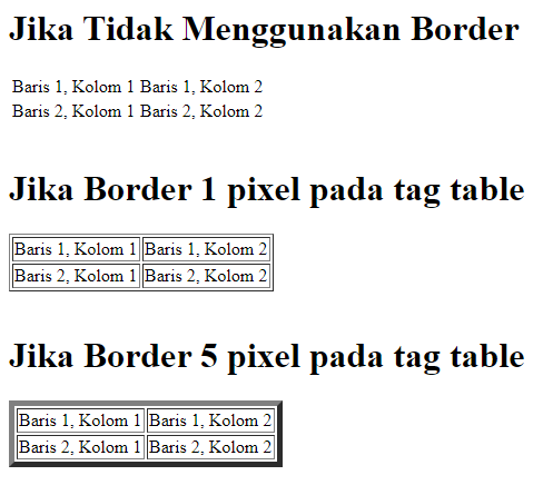 Border Pada Tabel HTML