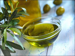 Olive oil | Olea europaea Oleaceae | Mediterranean Basin