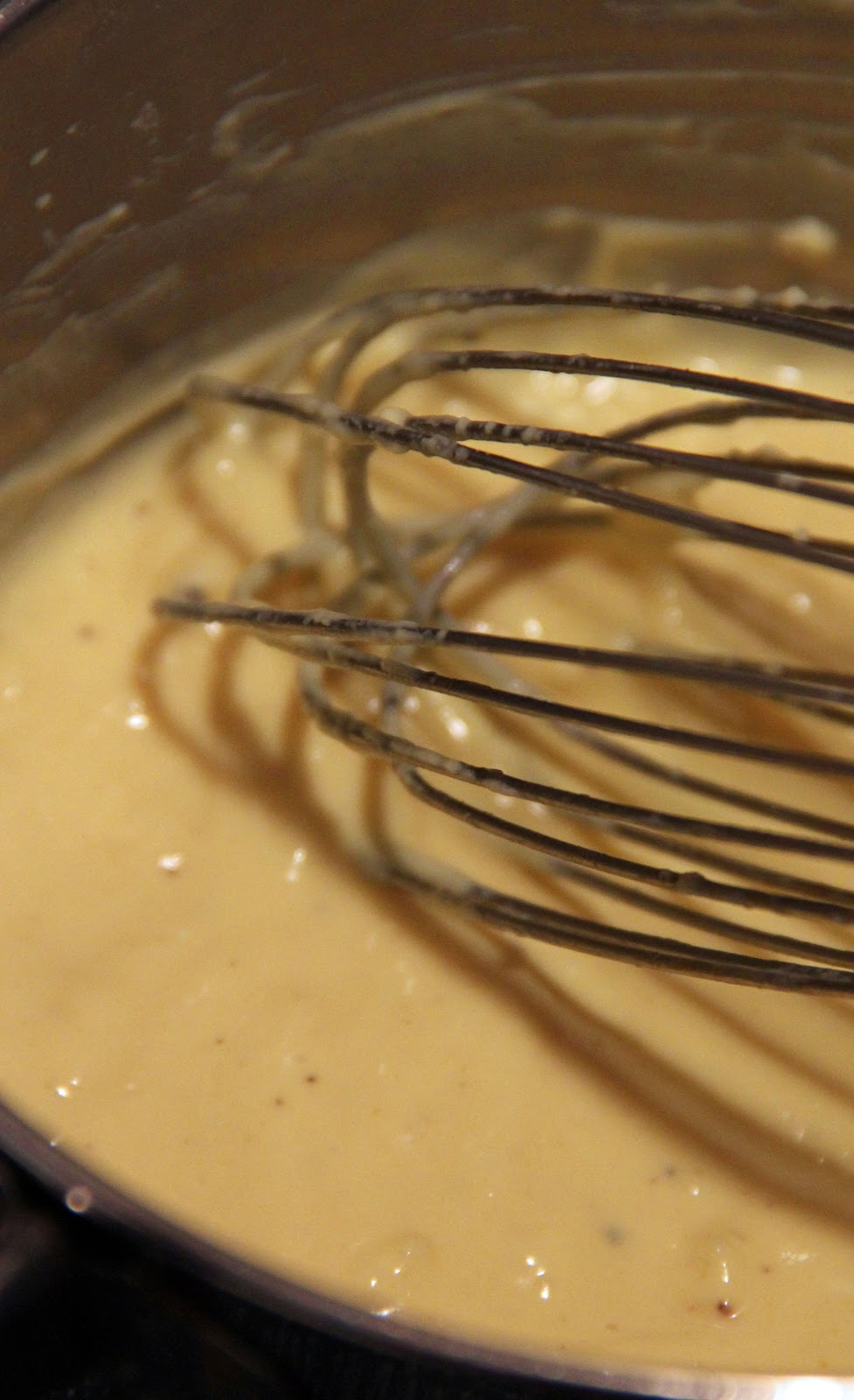 Jo and Sue Steak with Mustard & Greek Yogurt Sauce AND Baked Zucchini Chips