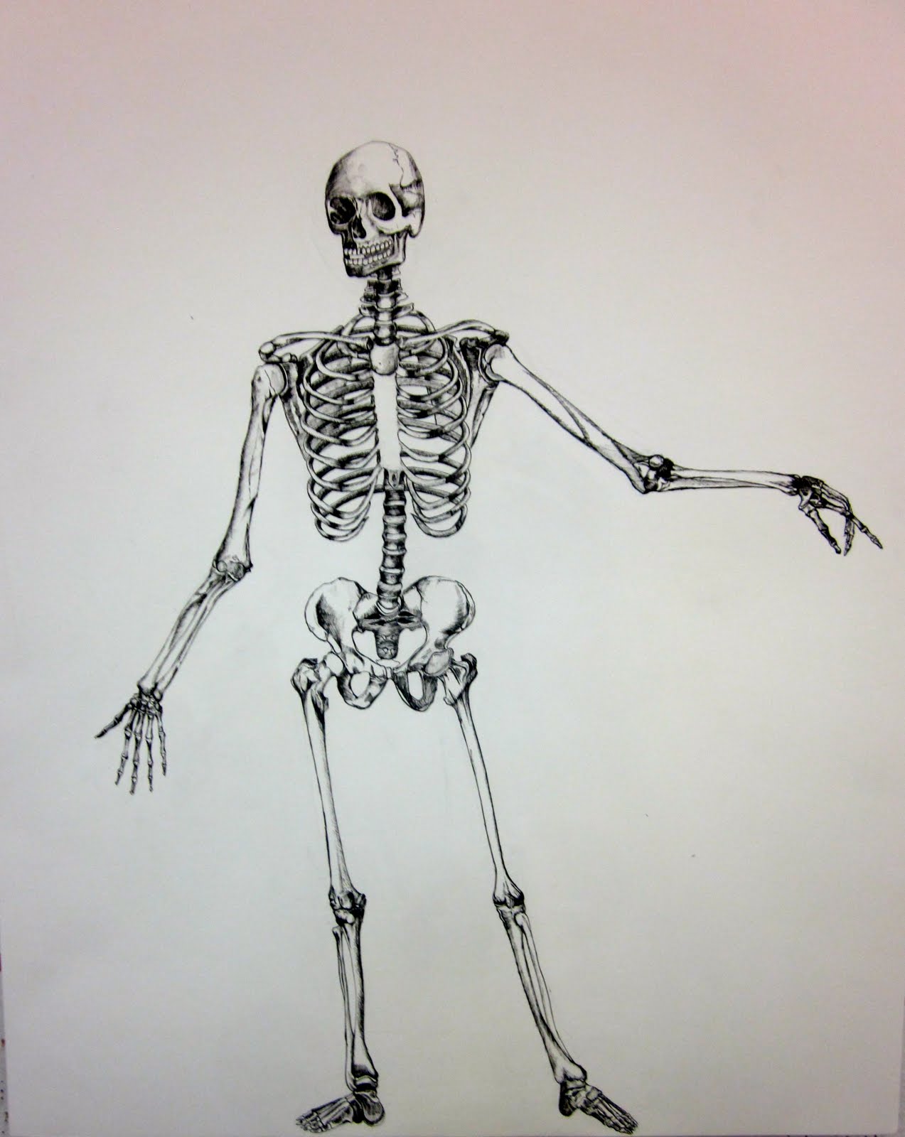 UCD Design Drawing Stars-2011-Winter Quarter: The Skeleton Drawings