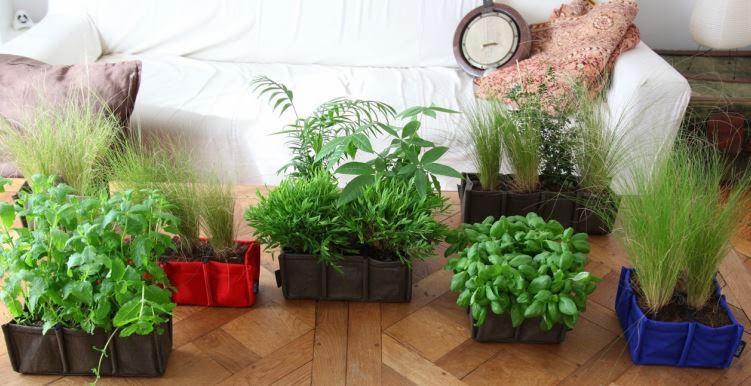 Le Pot De Fleur Carre En Plastique Bas 31l Jardin Et Saisons