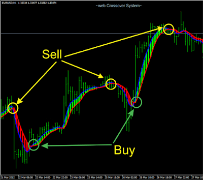 Can forex trading be self taught
