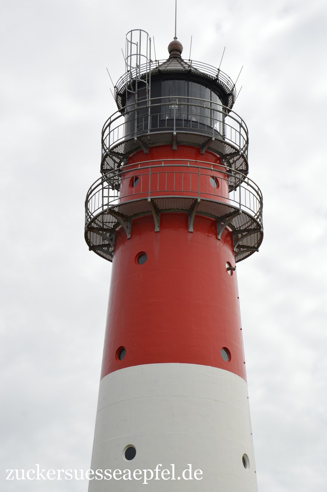 Once In A Lifetime Dogs September 2014