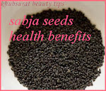 Sabja-Basil Seeds Benefits