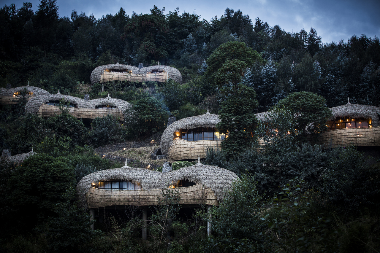 Into the Wild Jungles of Rwanda with Bisate Lodge
