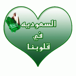 ابيات شعر عن اليوم الوطني السعودي 1433 هـ , قصائد وخواطر في اليوم الوطني