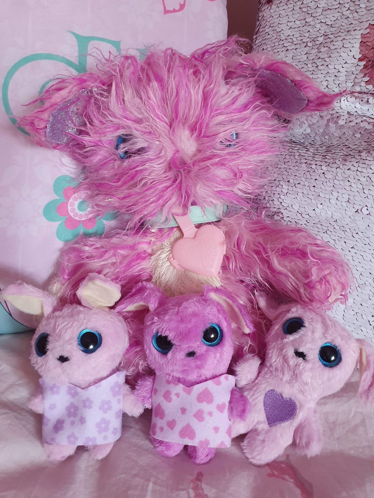 scruff a luv family pack