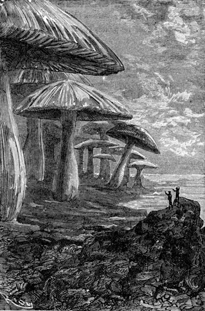 Обложка одного из ранних изданий «Путешествия к центру Земли» и иллюстрация Эдуара Риу: лес гигантских грибов как бы намекает, что приключения были плодом фантазии героев
