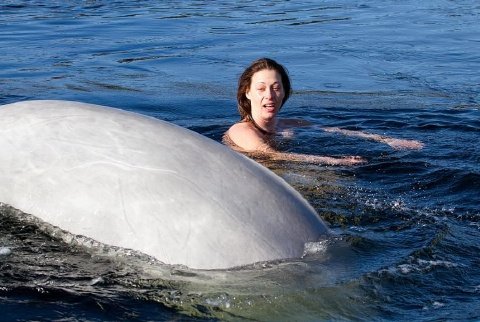 Brazil Protests, Naked Russian Scientist Tames Beluga 