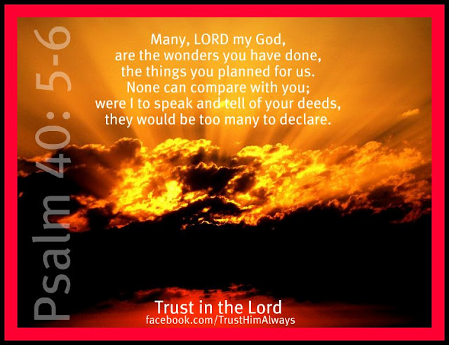 Seeking Jesus June 28 2012 God s Wonders seeking-jesus-june-28-2012-god-s-wonders