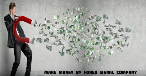 Forex signal company