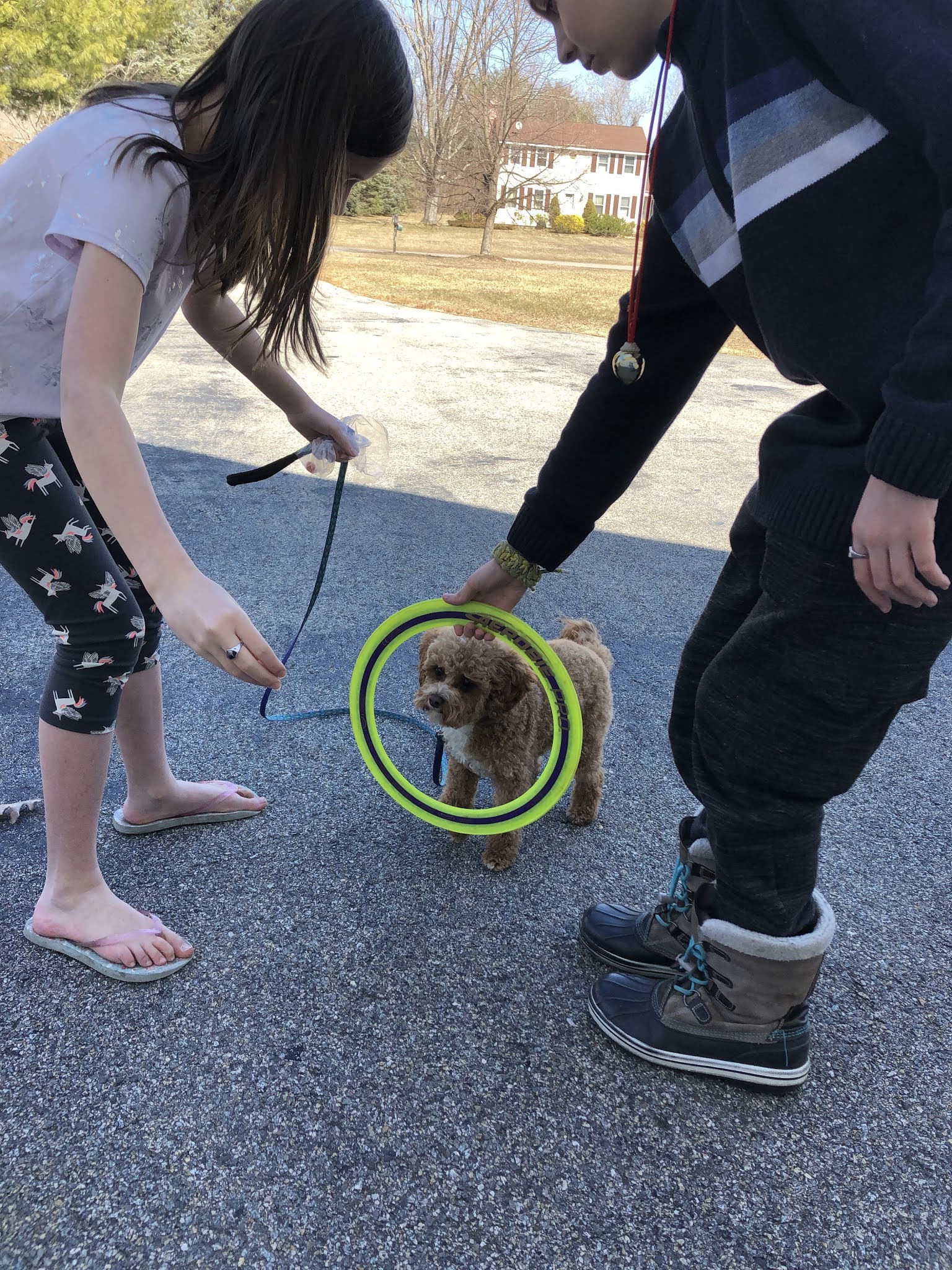 Hendrickson Family Blog Illustrated Syllables and Jumping through Hoops