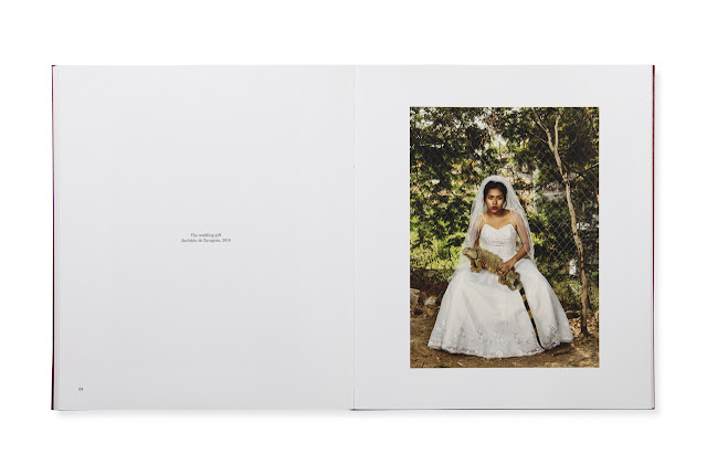 Red Baron S Blog August 2014