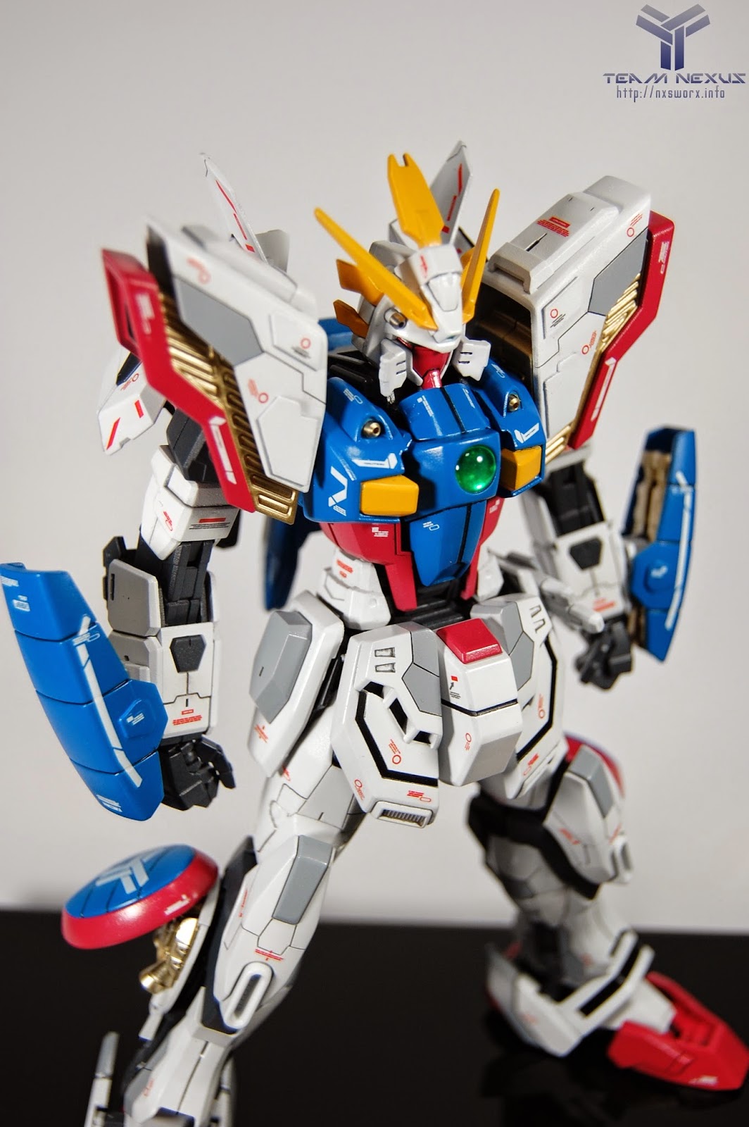 Custom Build: MG 1/100 Shining Gundam "Evolve"