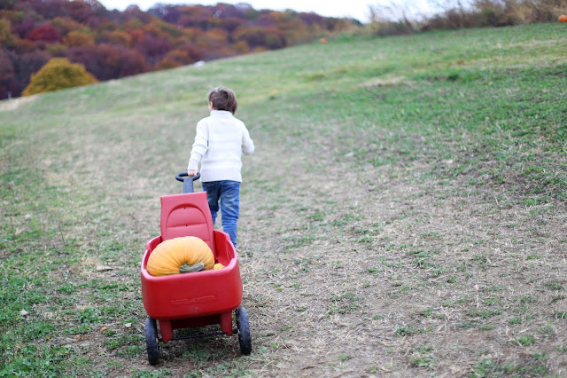 pictures to take at the pumpkin patch