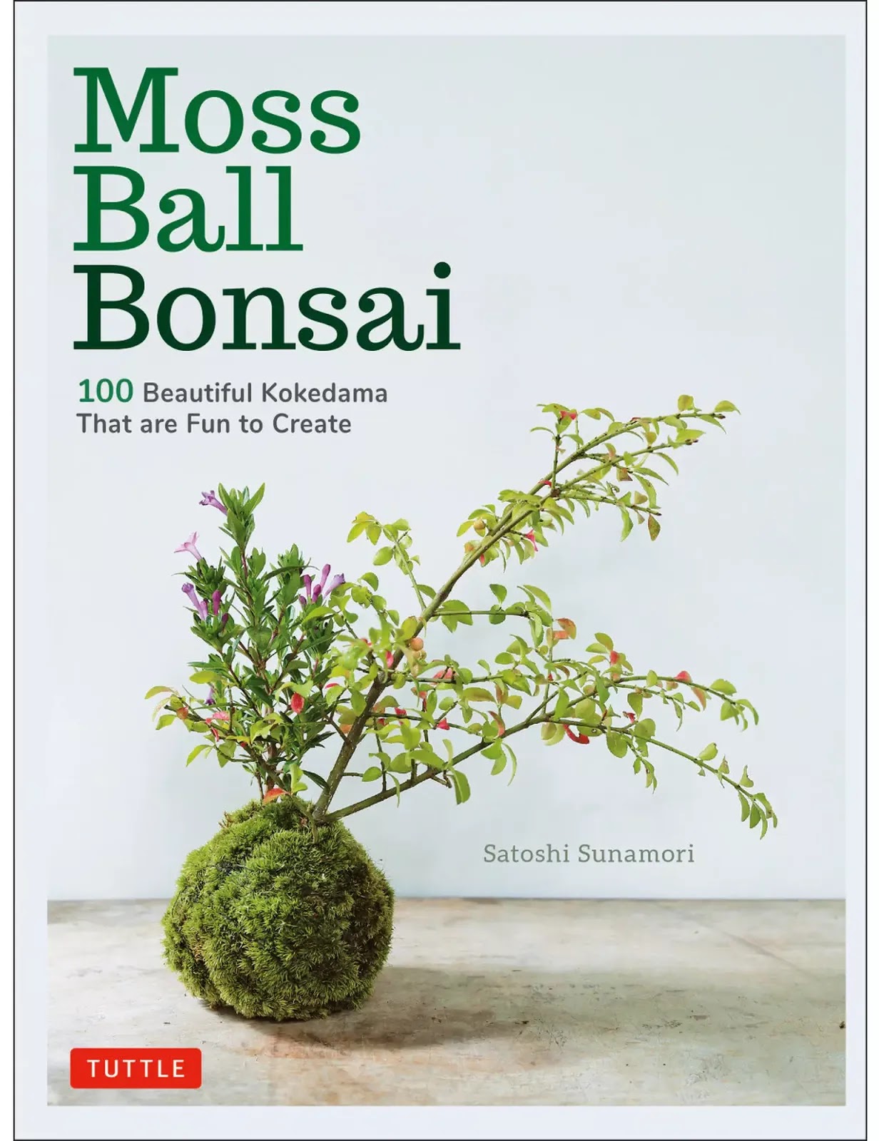 Live Moss Spores for Bonsai and Gardens at New England Bonsai Gardens