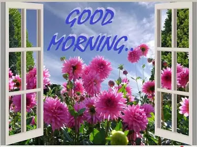 Good Morning Images Good Morning Images