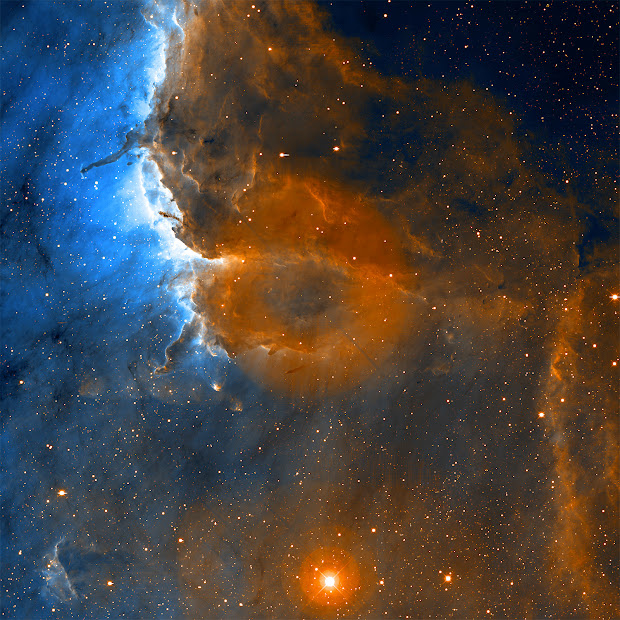 Emission Nebula IC 5070: the Pelican Nebula