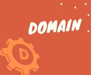 2. CHOOSE THE RIGHT DOMAIN