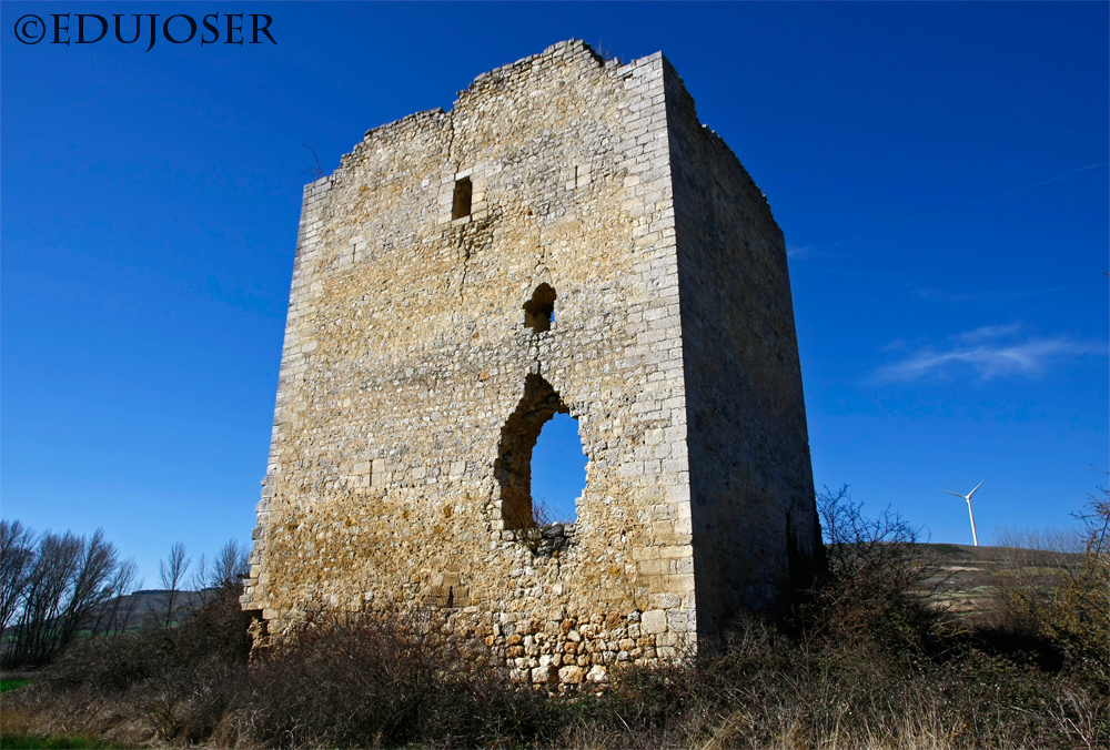 Foto de Yacimiento de Huérmeces. en Rebolledo de la Torre, Burgos