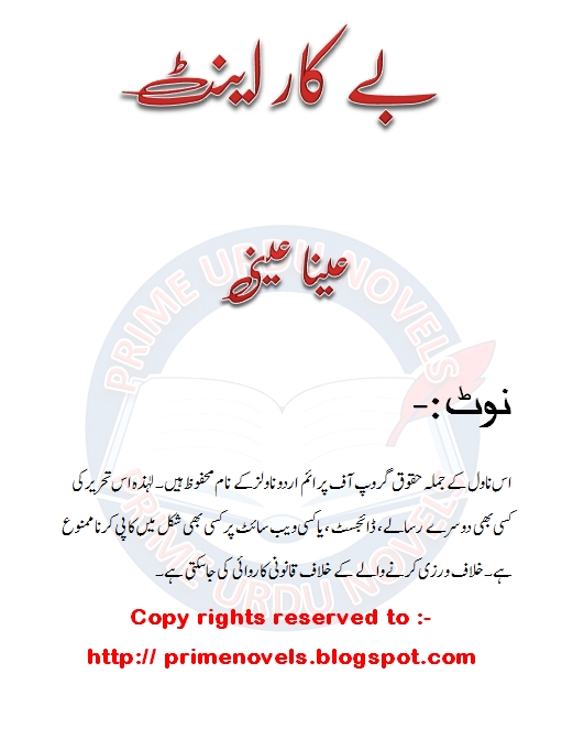 69 Top Best Writers Aina Quwat Bah Book Download with Best Writers