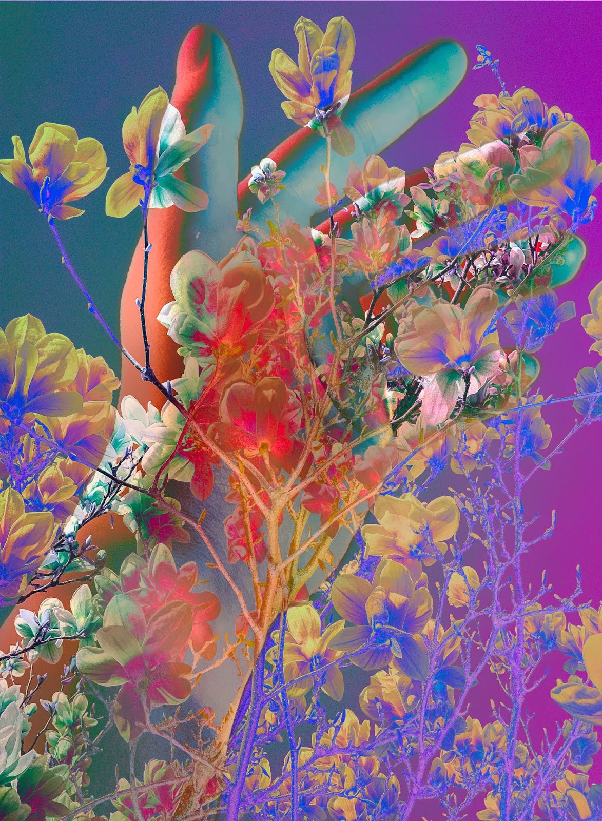 Olli Liest Olli Kultlesung Im Kaisersch Baach Burgerportal