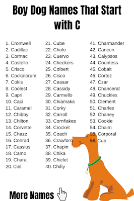 Boy Dog Names That Start with C