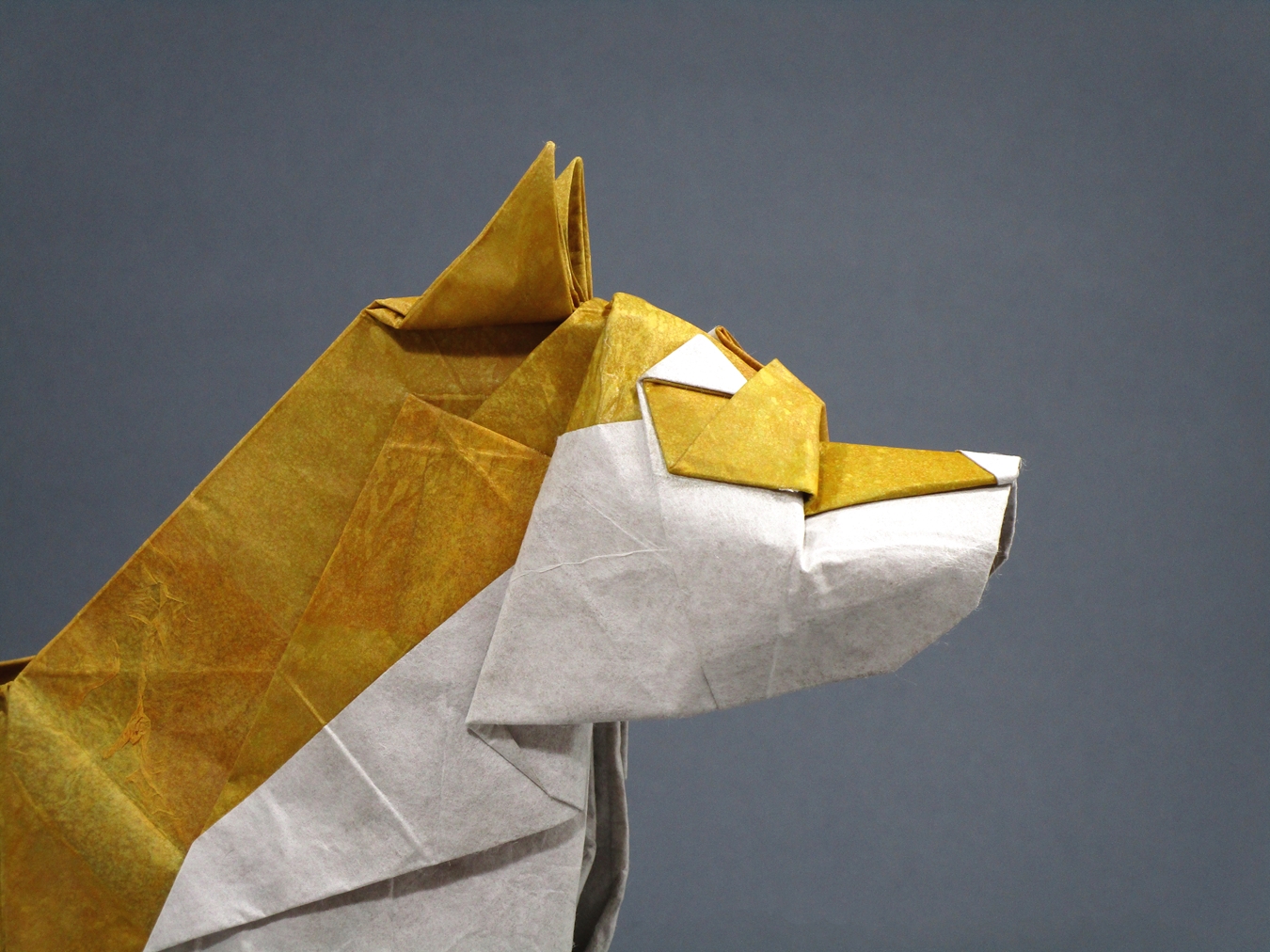 MarianoMi mundo el Origami Akita Inu Dog