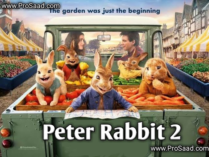 Peter Rabbit 2 full Movie 
