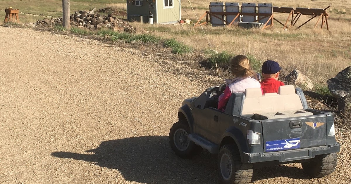 power wheels speed controller