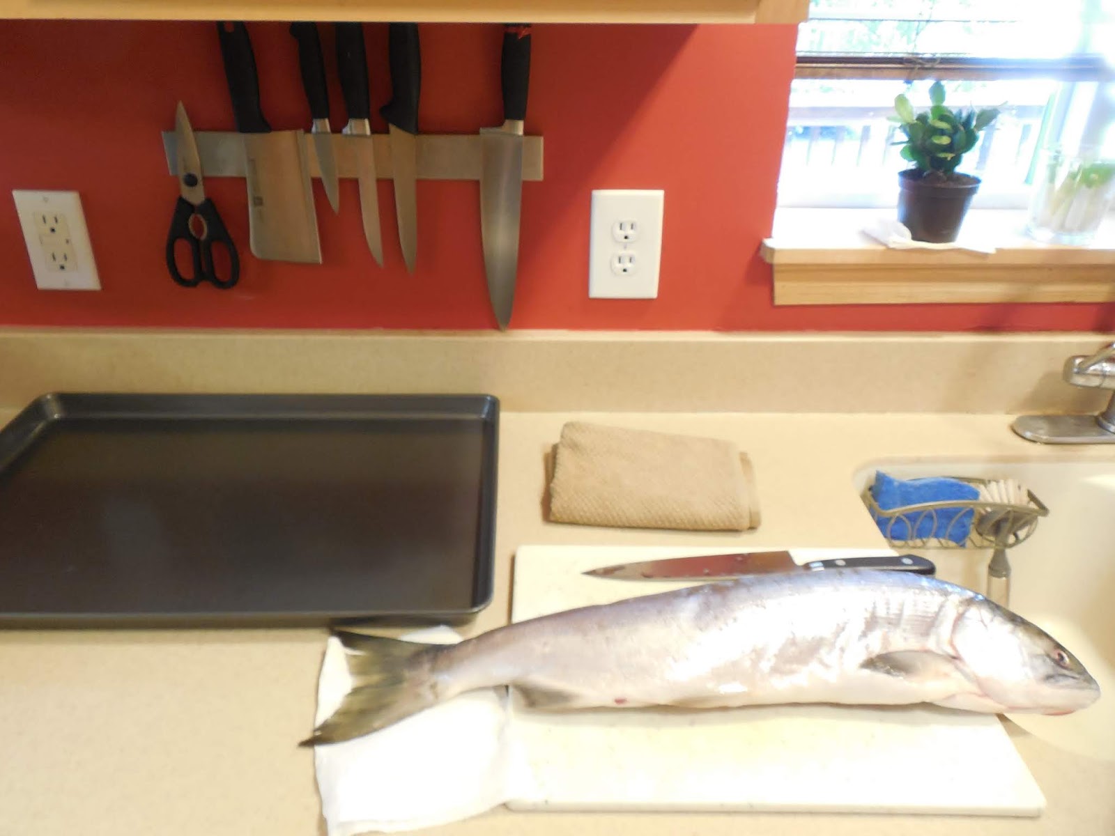 靜姐上菜 Jean的廚房飲食歡樂記 支解鮭魚 魚頭 魚骨 魚肉片