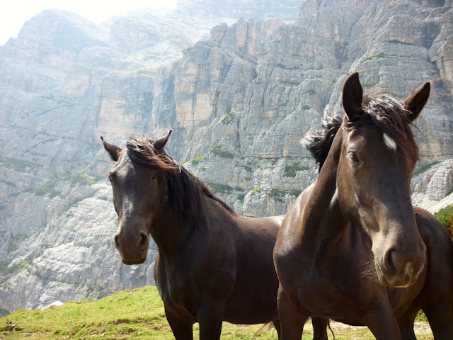 escursioni trekking val di zoldo