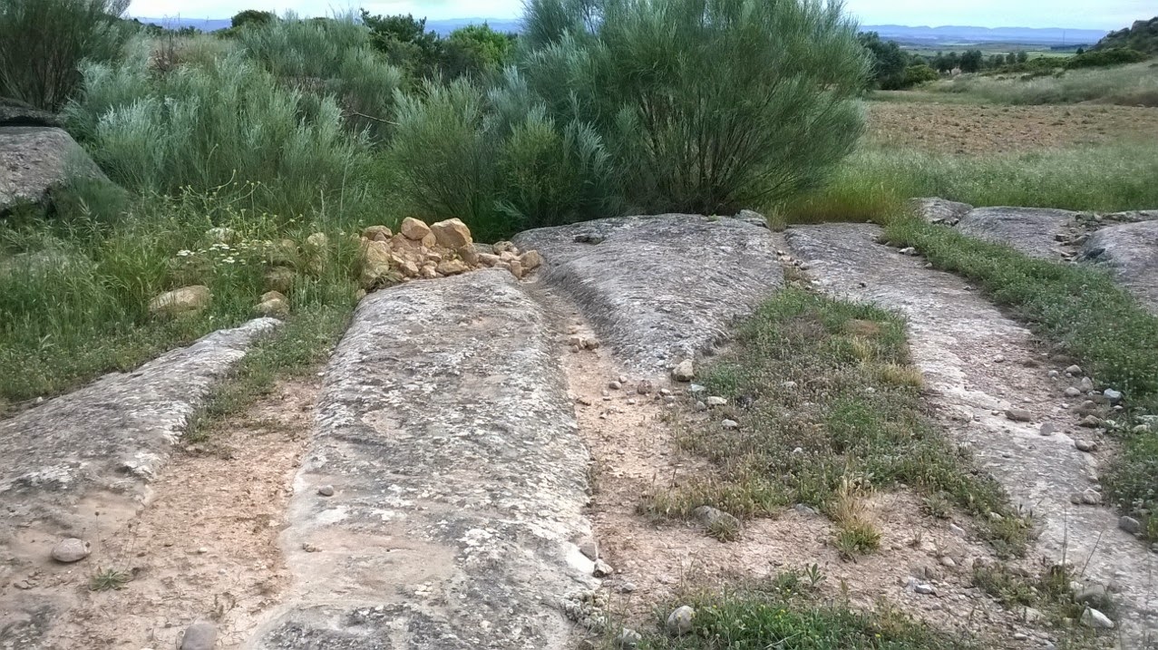 La vida entre rocas Caminos que fueron y alineaciones de piedras