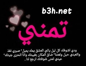 كلمات: أتمنى أن أراك كل ليلة