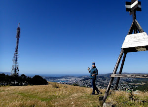 Mt Kaukau looking towards the city and Cook Strait