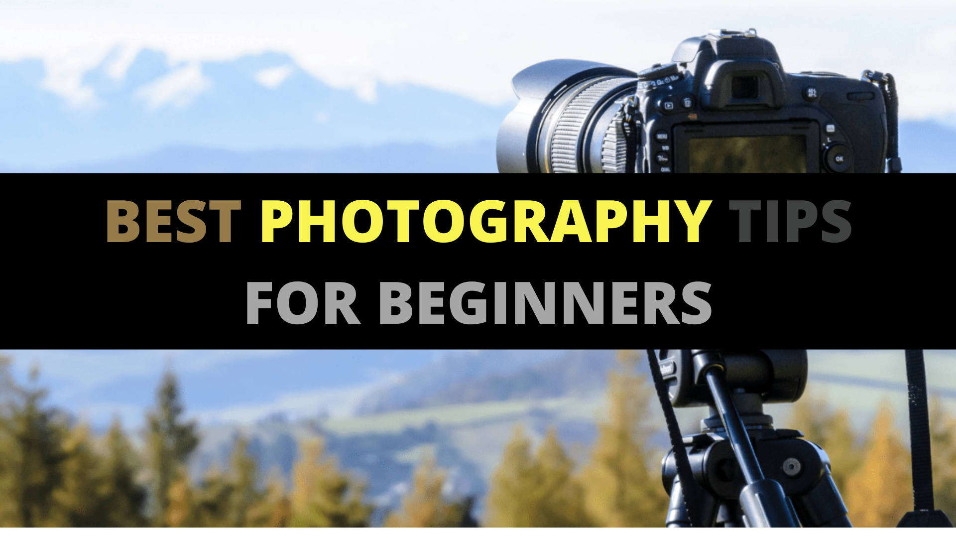 Top 5 Best Photography Tips For Beginners