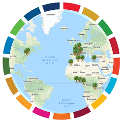 Nous recherchons des partenaires pour Vivre ensemble, la " Méthode des Arbres de Paix"