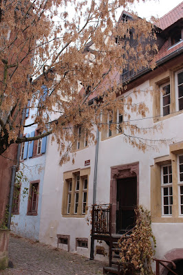 Riquewihr, Alsace, France travel, winter