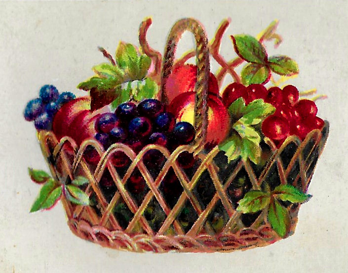 Antique Images: Flowers Fruit Baskets Images Wild Roses Grapes Peaches