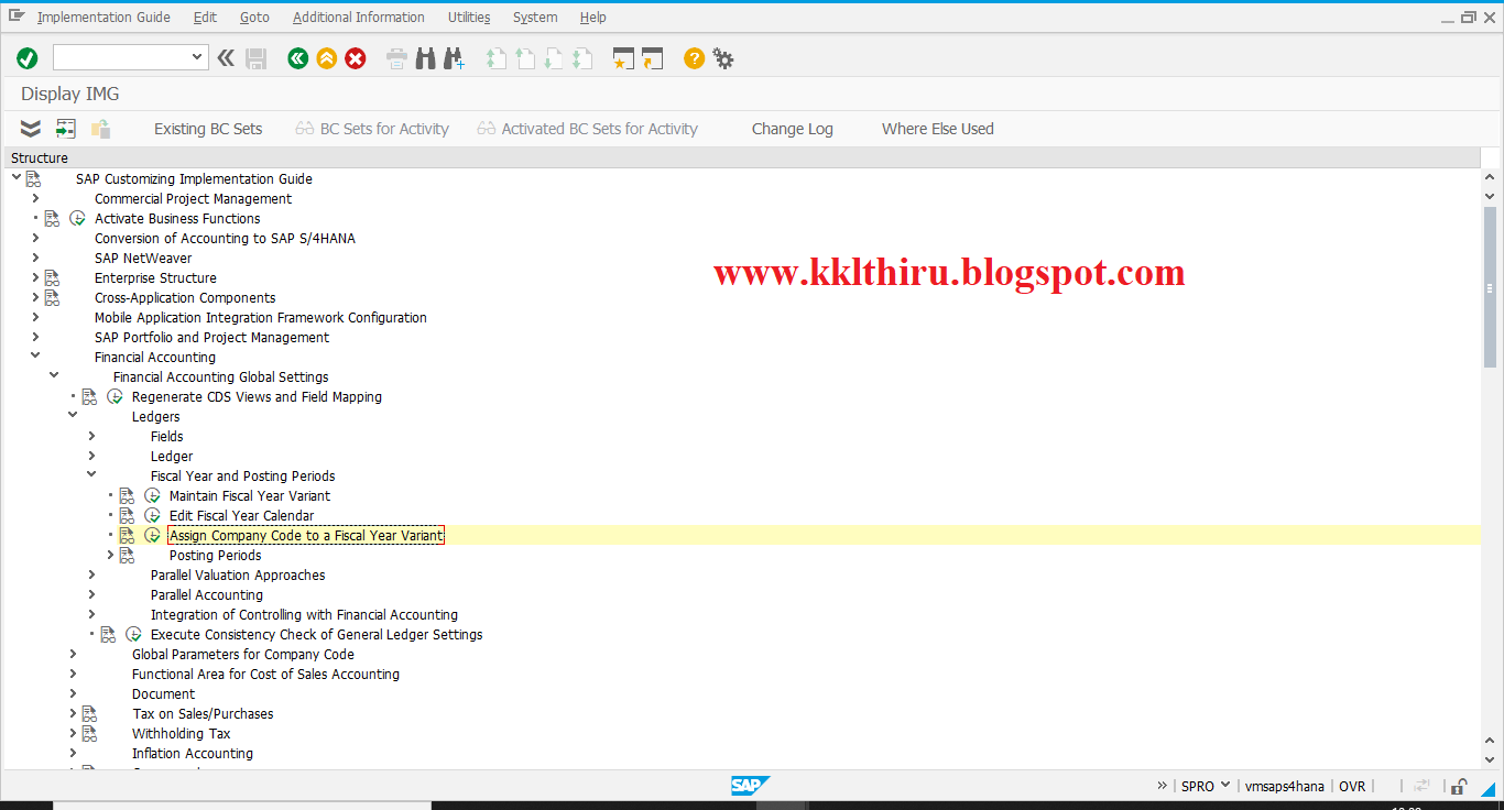 define-a-fiscal-year-variant-for-company-code