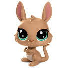 Littlest Pet Shop Ada Kangarooney Generation 6 Pets Pets