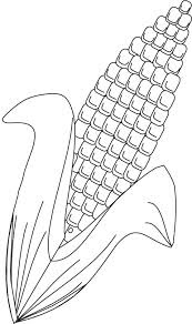 Corn coloring pages 3