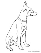dibujos de doberman para colorear dog cpz hn