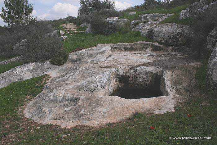 Israel in photos Neot Kedumim (the Biblical Landscape Reserve in Israel)