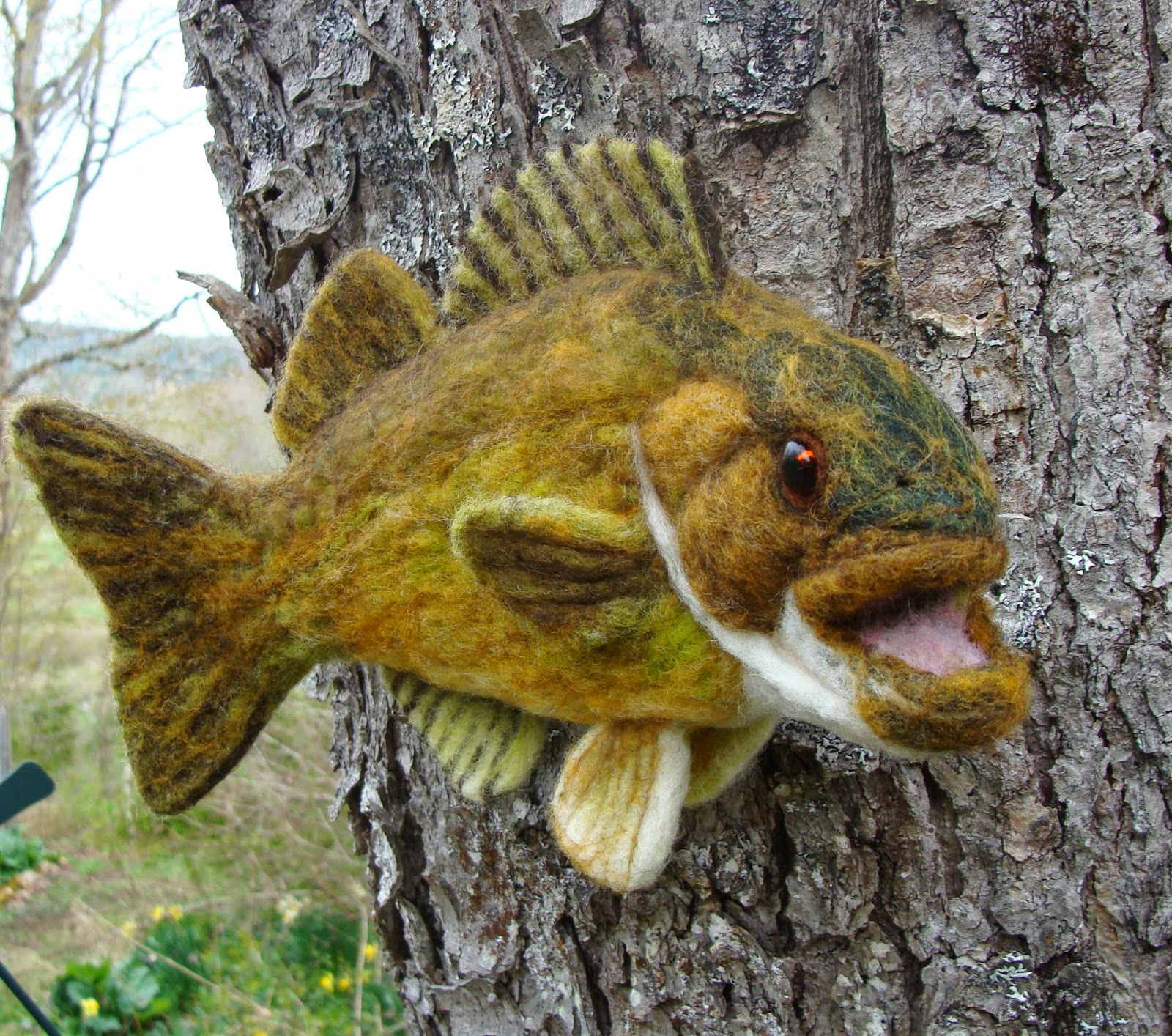 Bella McBride A Fish in a Tree? How can that be....