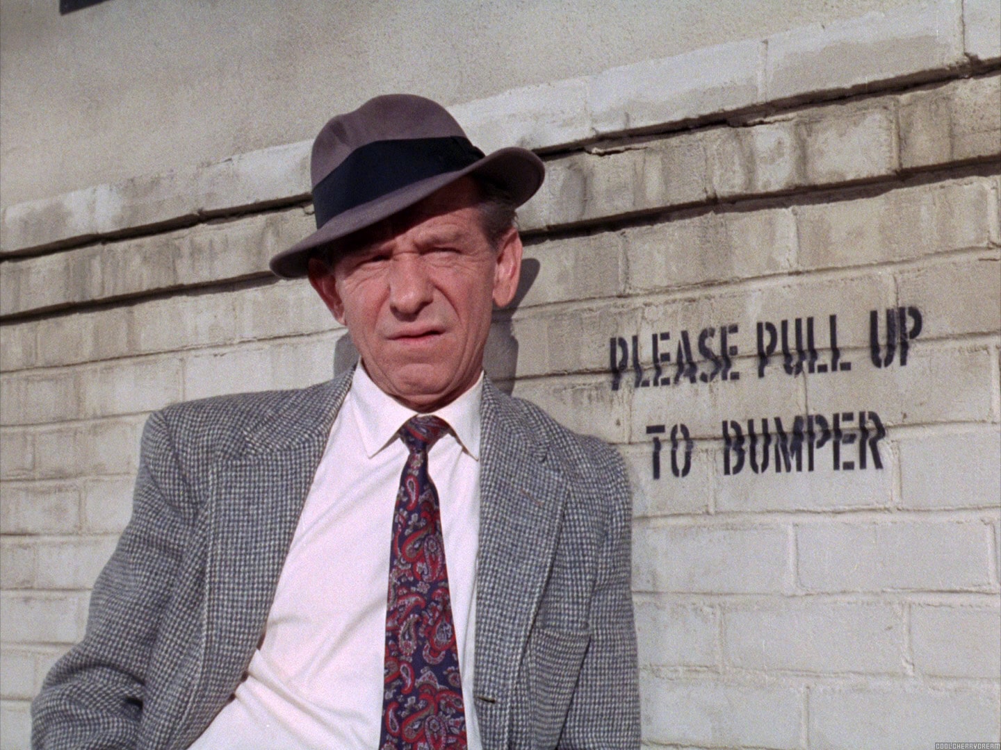 Ned Glass: One of Film & TV's Most Recognizable Character Men--Doc in WEST SIDE STORY & Popcorn