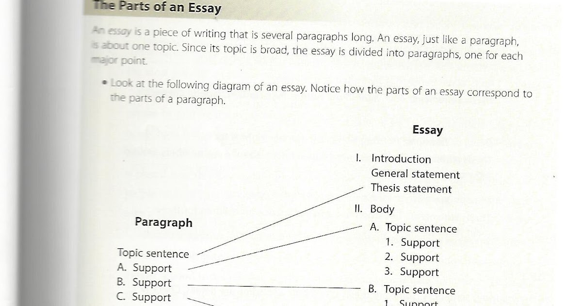 Immersion essay examples image