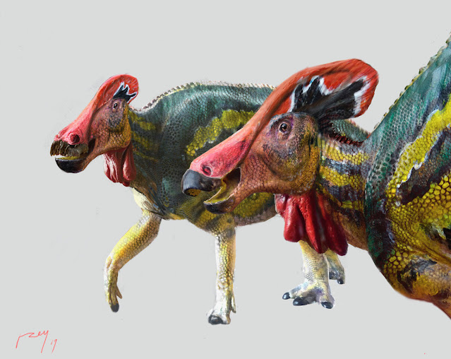 Μεξικό: Αναγνωρίστηκε άγνωστο είδος δεινοσαύρων