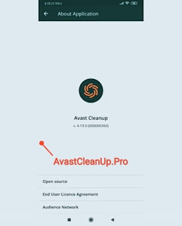 avastcleanup Pro avastcleanup Pro