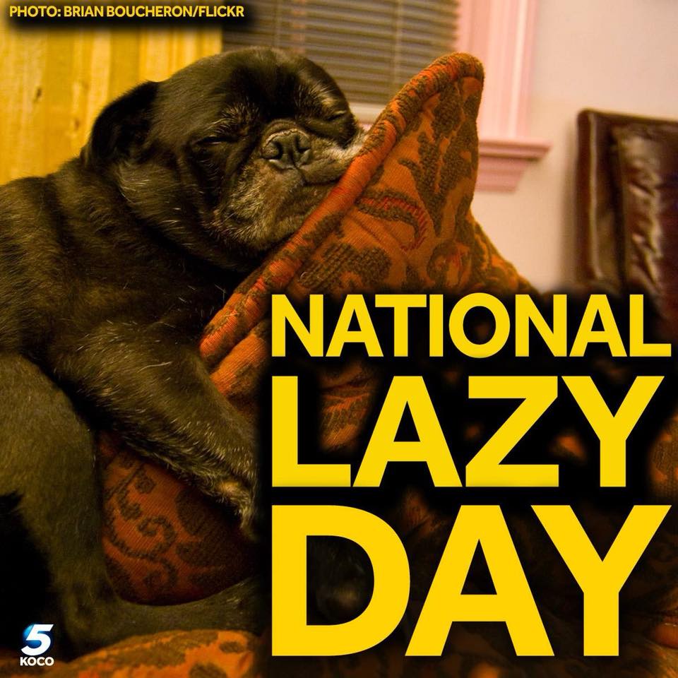 National Lazy Day Wishes Images Whatsapp Images